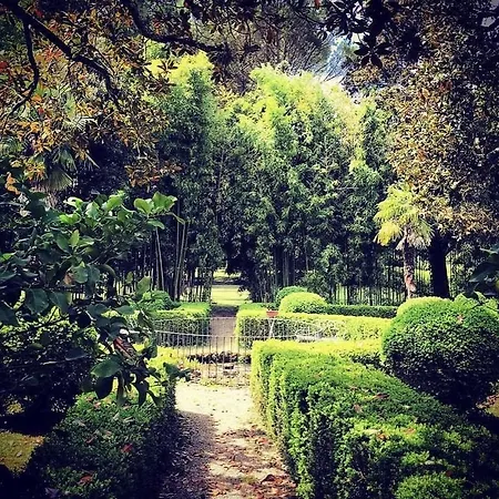 I Bossi Arezzo