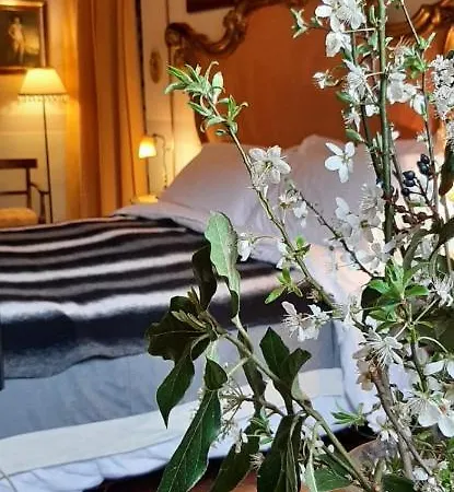 Apartment I Bossi Arezzo