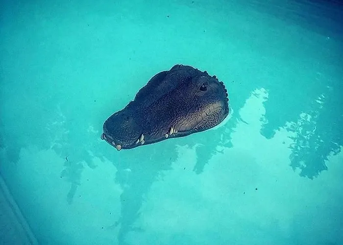 アパート I Bossi